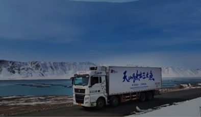 Shanghai Shanhaiji Supply Chain<br> Co., Ltd.